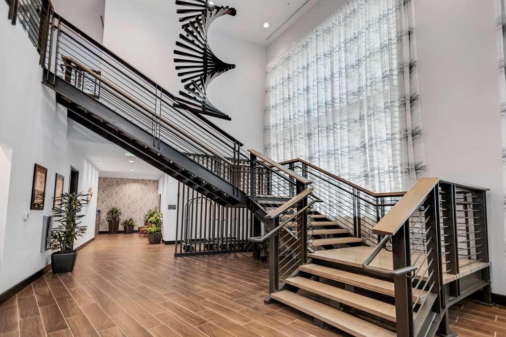 Doubletree By Hilton Asheville Downtown מראה פנימי תמונה